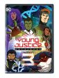 YOUNG JUSTICE OUTSIDERS: SEASON 3 (DVD) Online