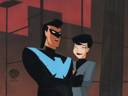 The New Batman Adventures: Nightwing And Selina Online Sale